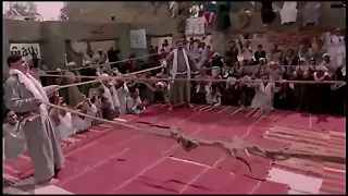 اضحك من قلبك مع كتكوت في حلبه المصارعه 