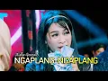 Download Lagu NGAPLANG-NGAPLANG - AIDHA GONZALES \