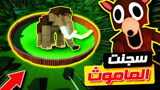 روبلوكس سجنت الماموث في ماب ألف ليلة و ليلة 