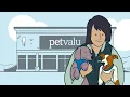 Pet Valu Animal Care Expert Travel Stories Water Adventures