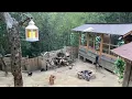 Download Lagu Mountain Life – Alone with Animals and the Simple Joys of Life | Cooking in the Oven.