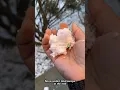 Why This Fake Snow Is More Dangerous Than Real Snow