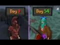 LVL 3 HCIM To Voidwaker The Full Journey