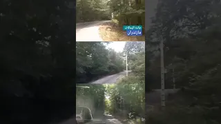 اگه یه روز بری سفر بری ز پیشم بی خبر فرامرز اصلانی Viral Shorts Short جنگل مازندران نور 