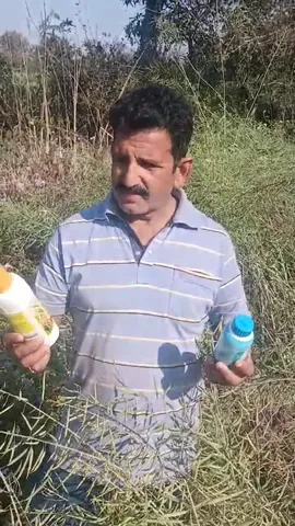 कांगड़ा के किसान ने नैनो डीएपी के बताए कैसे फायदे |  वनइंडिया हिंदी