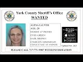 York s Most Wanted - Updated November 2025
