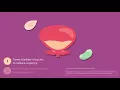 AZO Bladder Control Weight Management Animation