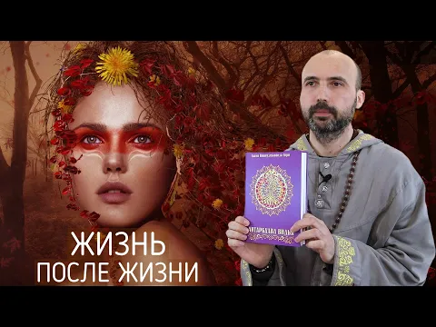жизнь после жизни image