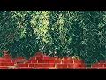 The Flashbulb - Mysterious Wall