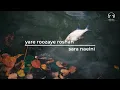yare roozaye roshan (یار روزای روشن) | sara naeini