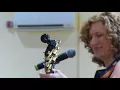 Bumblebee (Buzz Buzz): Laurie Berkner in Morristown