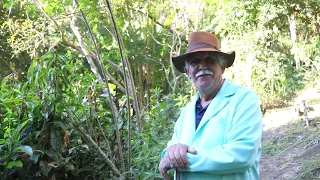 GANHE MUITO DINHEIRO SEM PERDER A SUA FÉ EM DEUS - TEOLOGIA DA PROSPERIDADE