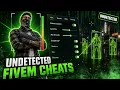FiveM Hack 2026 - Free FiveM Mod Menu Download Undetected ESP