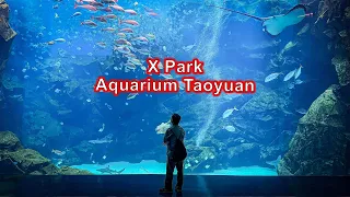 Xpark Aquarium Taoyuan Definitely worth the ticket price