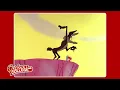 Have you ever wondered where the name ACME comes from Today s Cartoon College is all about ACME