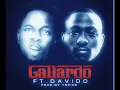Gallardo-Runtown ft Davido(sped up)