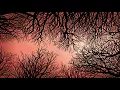 Download Lagu Zimpel / Ziołek - S/T (Full Album)