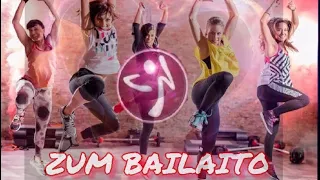 Download Zumba Zu Bailaito \ MP3