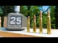 Shooting a Dumbbell - 30-30 vs 308 vs 30-06 vs 300 win mag