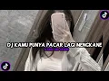 Download Lagu DJ KAMU PUNYA PACAR LAGI MENGKANE SLOWED AND REVERB