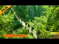Download Lagu Pengawal Manis | Terbaru Film Aksi Perang | Subtitle Indonesia Full Movie HD