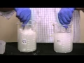 Boric Acid vs Nibor-D DOT Dissolving in Water