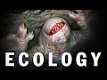 Download Lagu The Khezu | Monster Hunter Ecology
