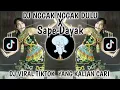 Lagu DJ NGGAK DULU X SAPE DAYAK VIRAL TIKTOK TERBARU 2025 KALIAN CARI-JANGAN LAGI LAGI X SAPE DAYAK