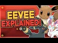 This is Why Eevee Can Evolve Into a Pokemon of Every Type - Eeveelutions Explained