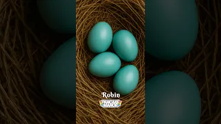 Count To Ten With EGGS Preschool Kidssongs Kidsvideo Counting 