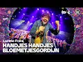 Lagu Lamme Frans - Handjes handjes bloemetjesgordijn • Carnaval Countdown 2026 // Sterren NL