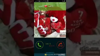 عيد الحب الدب 