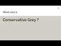 Conservative Grey color hex color - Grey color