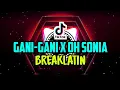 Download Lagu DJ Gani-Gani x Oh Sonia (Breaklatin remix)