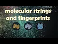 13 Molecular Strings and Fingerprints RDKit tutorial