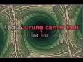 Download Lagu Vina panduwinata - Burung Camar (Lirik)