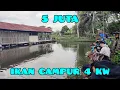 Download Lagu Clom giriwil‼️borongan 5 juta ikan campur 4 kwintal di pancing 15 peserta
