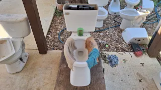 2023 Project Source Pro Flush Eco Tests