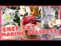 Download Lagu KUMPULAN TIKTOK KUCING LUCU JAGO MASAK 😻