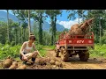 Lagu Using a Four Wheel Truck Harvest Mutant Potatoes In Forest \u0026 Take Them to the Market for Sale