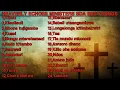 Download Lagu HEAVENLY ECHOES MINISTERS SDA BEST SONGS