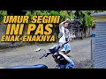 Lagu BURUNG MAPAN DAN STABIL‼️HARUSNYA UMUR SEGINI PAS ENAK-ENAKNYA