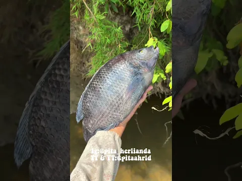 kageet iih #pitaahrld #minivlog