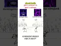 Download Lagu phonk battle part1 winner vs part2 winner matushka ultrafunk vs montagem coral#shorts #youtubeshorts