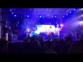 ЦВІТ КУЛЬБАБИ  "Рижа"  м. Івано-Франківськ