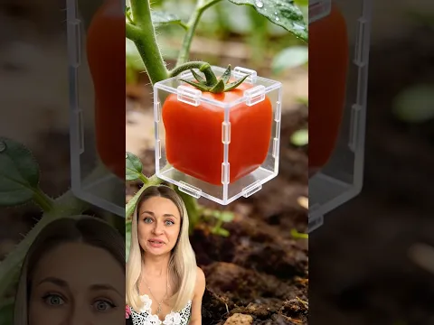 Best GROWING LIFEHACK? 🍅 Real or no? 🤨 #unboxing #lifehacks #