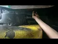 How to Install a Mower Deck on Your Lawn Mower Step-by-Step Guide john deere L110