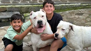 KÖPEKLER ÇOCUKLARA TRAVMAMI YAŞATIYOR