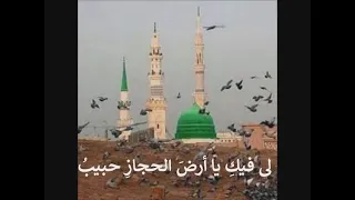 حضرة صوفية رفاعية روعة جدا مع الترجمة 