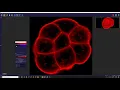 Introduction to Imaris Viewer